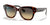 Ray-Ban STATE STREET RB2186 Sunglasses / Havana On Transparent Pink №1324BG