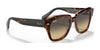 Ray-Ban STATE STREET RB2186 Sunglasses / Black №901/31 / G-15 Green (3N 13.2%) / Size 49