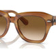 Striped Brown №140351