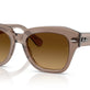 Transparent Light Brown №682785