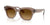Ray-Ban STATE STREET RB2186 Sunglasses / Transparent Light Brown №682785