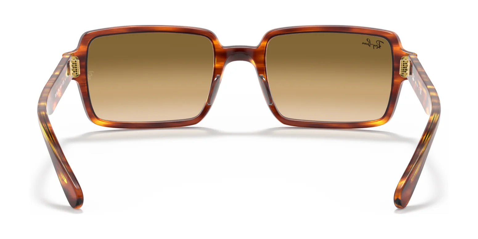 Ray-Ban BENJI RB2189 Sunglasses