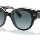 Black On Transparent №12943M