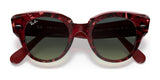 Ray-Ban ROUNDABOUT RB2192F Sunglasses