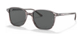Ray-Ban LEONARD RB2193 Sunglasses