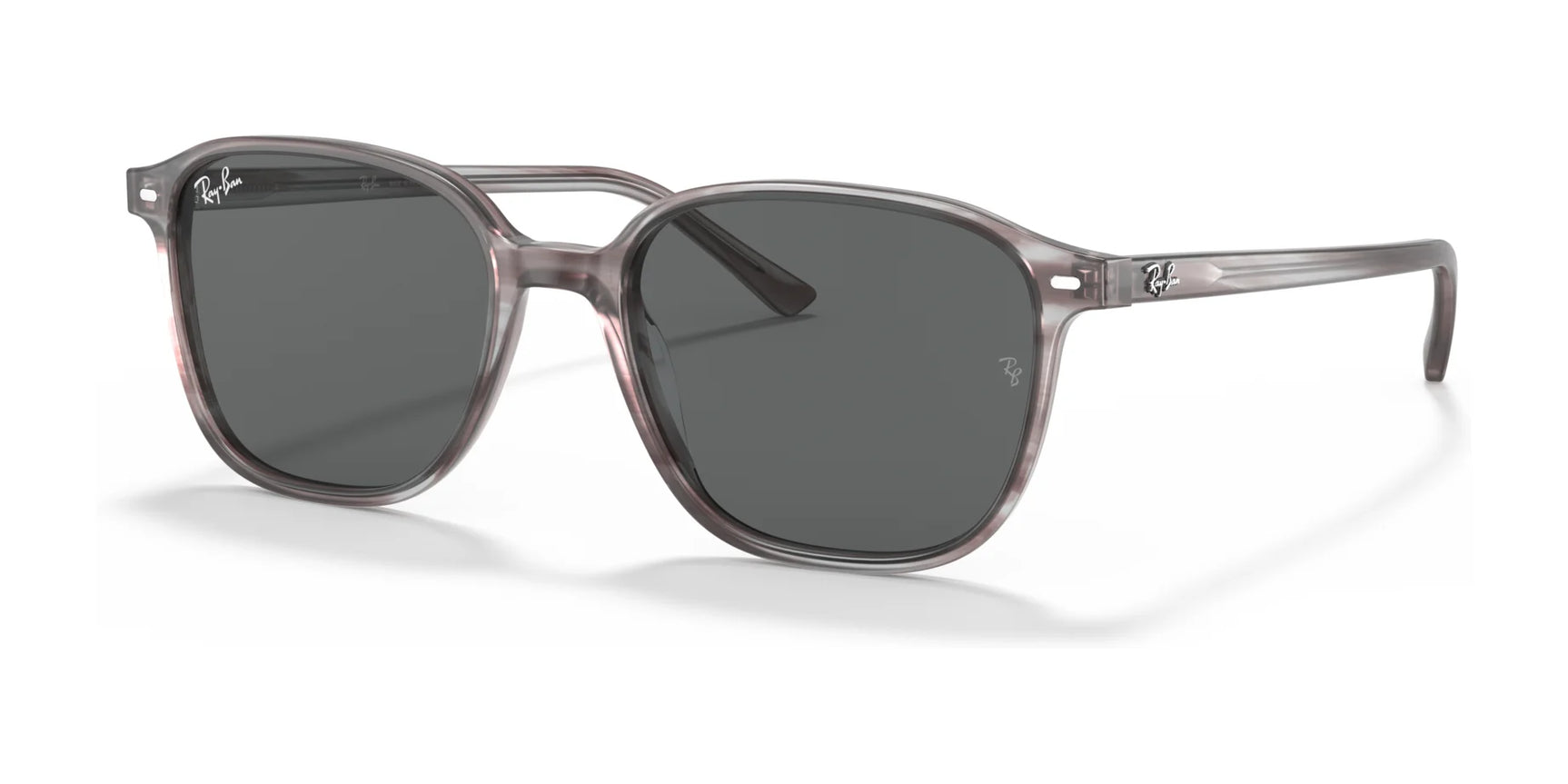 Ray-Ban LEONARD RB2193 Sunglasses