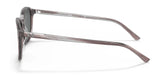 Ray-Ban LEONARD RB2193 Sunglasses