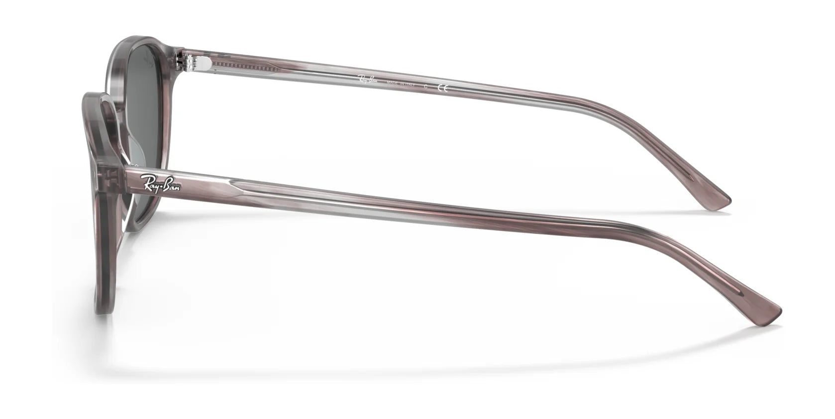 Ray-Ban LEONARD RB2193 Sunglasses