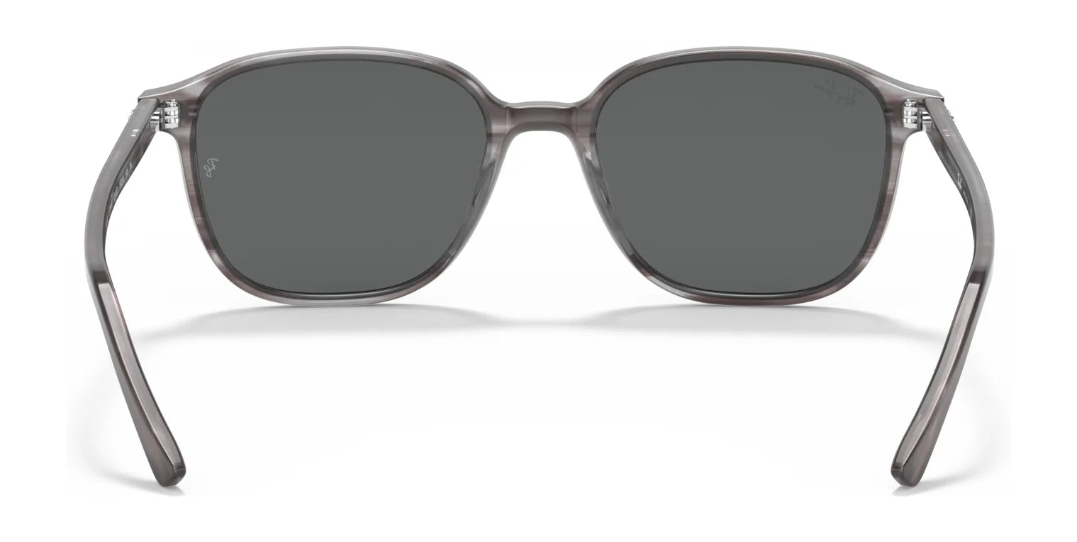 Ray-Ban LEONARD RB2193 Sunglasses