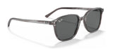 Ray-Ban LEONARD RB2193 Sunglasses