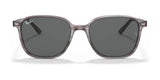Ray-Ban LEONARD RB2193 Sunglasses