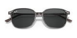 Ray-Ban LEONARD RB2193 Sunglasses