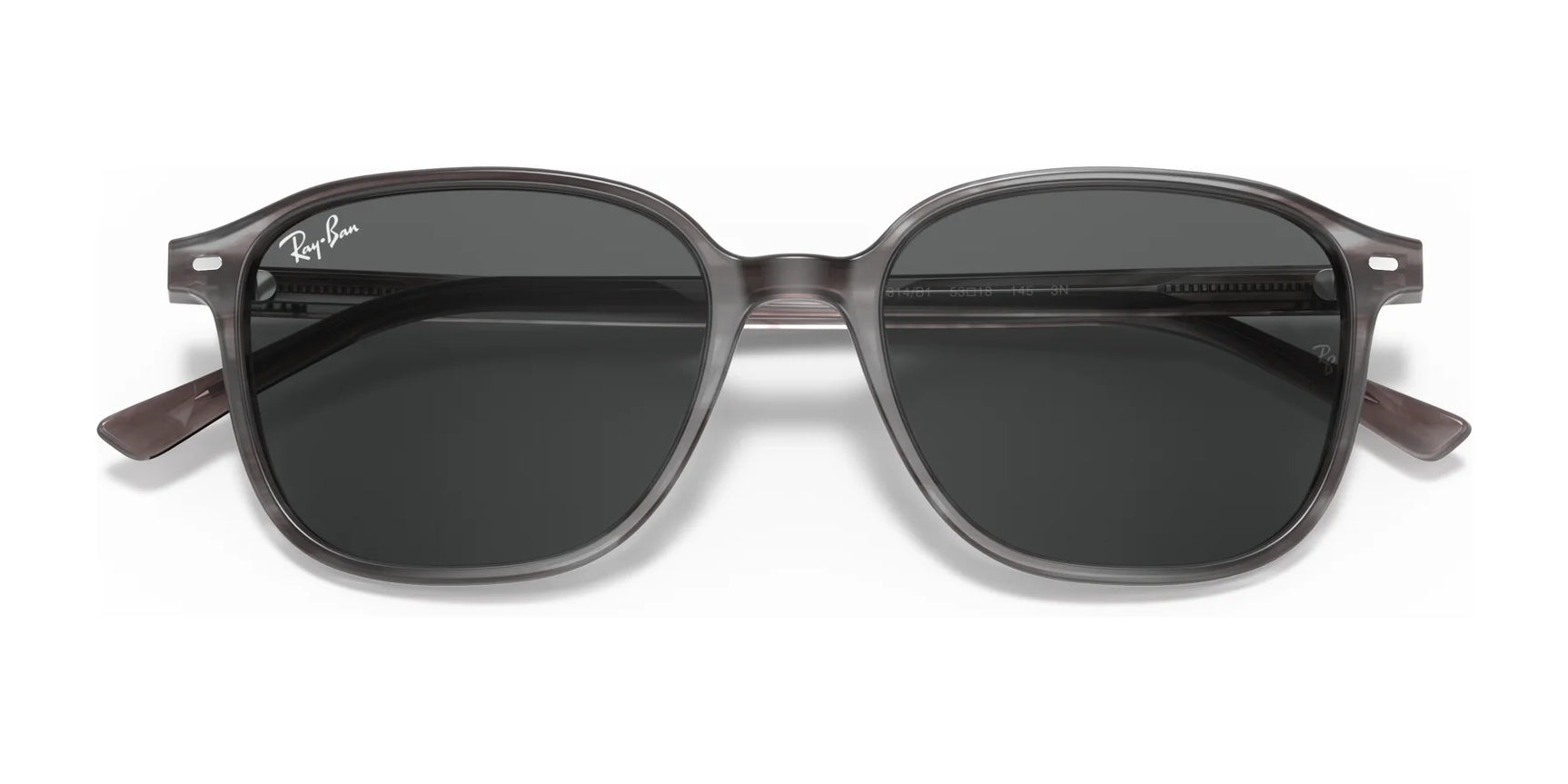 Ray-Ban LEONARD RB2193 Sunglasses