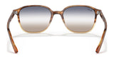 Ray-Ban LEONARD RB2193 Sunglasses