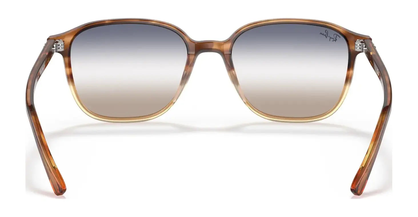 Ray-Ban LEONARD RB2193 Sunglasses