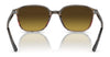 Ray-Ban LEONARD RB2193 Sunglasses / Black №901/31 / G-15 Green (3N 13.2%) / Size 53