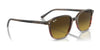 Ray-Ban LEONARD RB2193 Sunglasses / Black №901/31 / G-15 Green (3N 13.2%) / Size 53