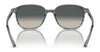 Ray-Ban LEONARD RB2193 Sunglasses / Black №901/31 / G-15 Green (3N 13.2%) / Size 53