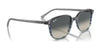 Ray-Ban LEONARD RB2193 Sunglasses / Black №901/31 / G-15 Green (3N 13.2%) / Size 53