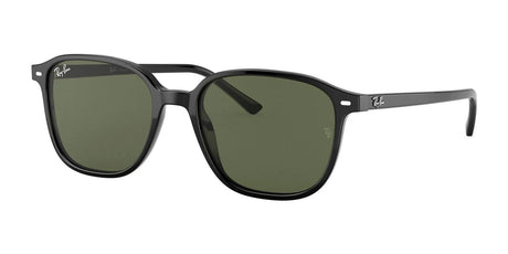 Ray-Ban LEONARD RB2193 Sunglasses Black / G-15 Green