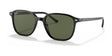 Ray-Ban LEONARD RB2193 Sunglasses Black / G-15 Green