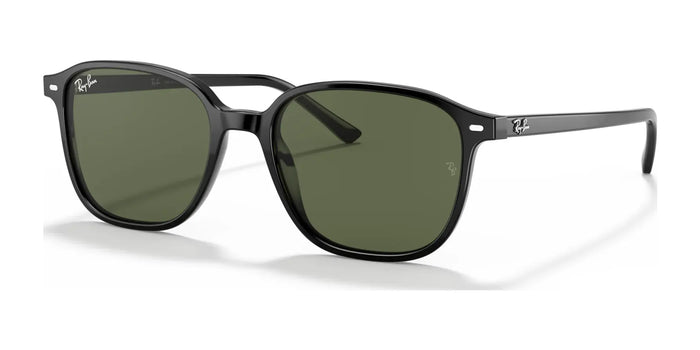 Ray-Ban LEONARD RB2193 Sunglasses / Black №901/31 / G-15 Green (3N 13.2%) / Size 53