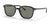 Ray-Ban LEONARD RB2193 Sunglasses / Black №901/58