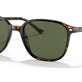 Tortoise №902/31