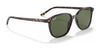 Ray-Ban LEONARD RB2193 Sunglasses / Black №901/31 / G-15 Green (3N 13.2%) / Size 53