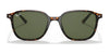 Ray-Ban LEONARD RB2193 Sunglasses / Black №901/31 / G-15 Green (3N 13.2%) / Size 53
