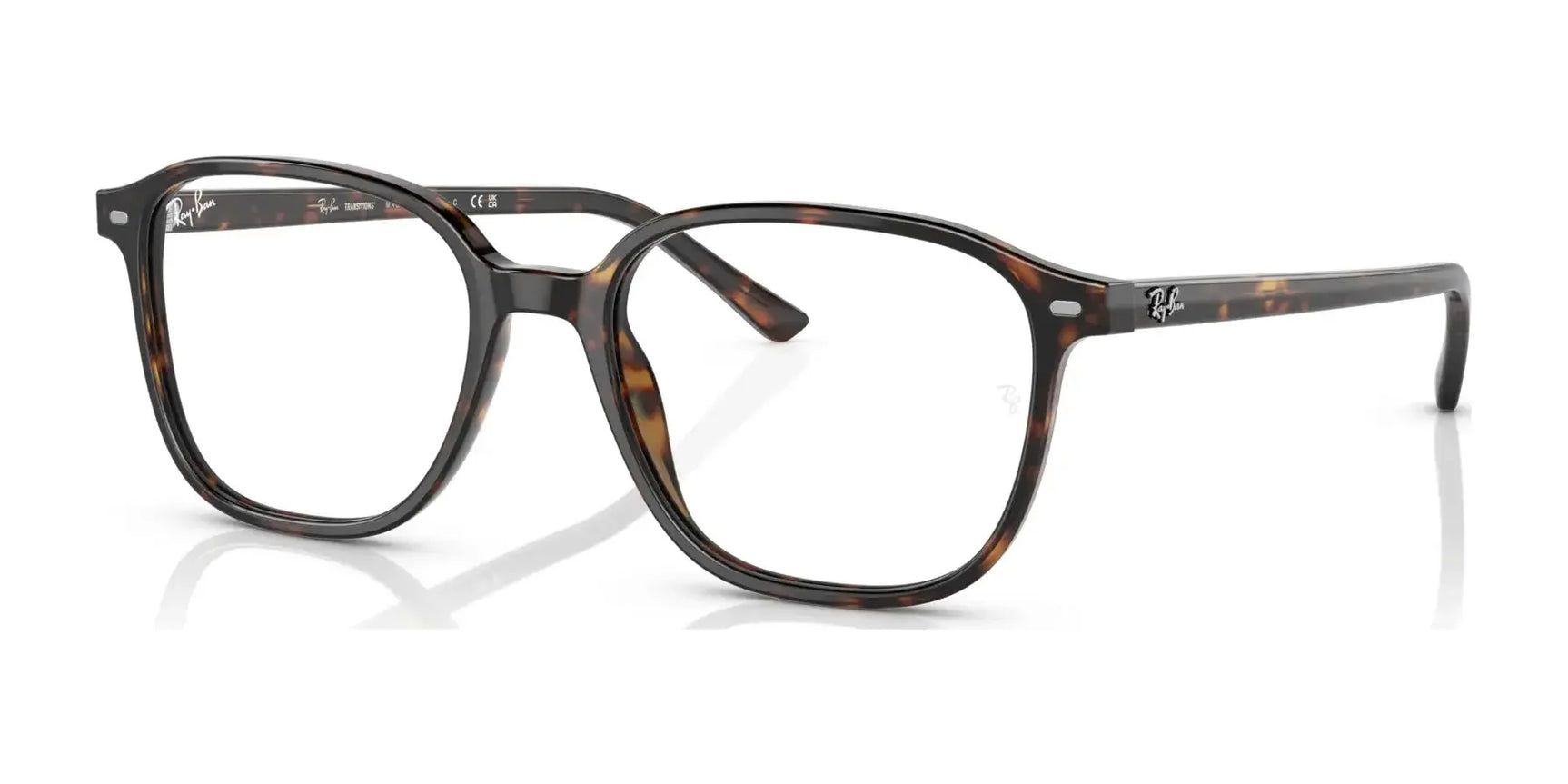 Ray-Ban LEONARD RB2193 Eyeglasses