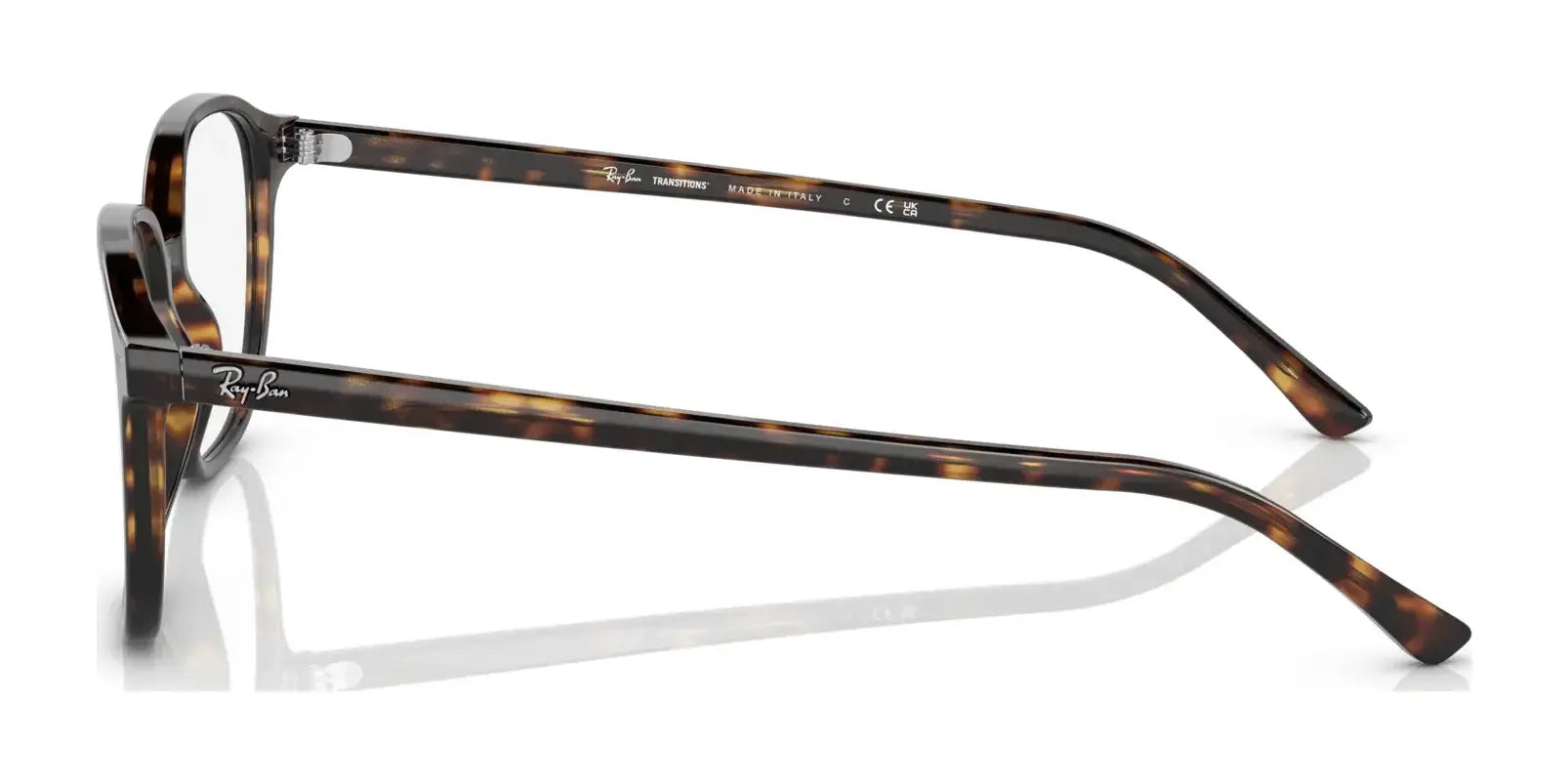 Ray-Ban LEONARD RB2193 Eyeglasses