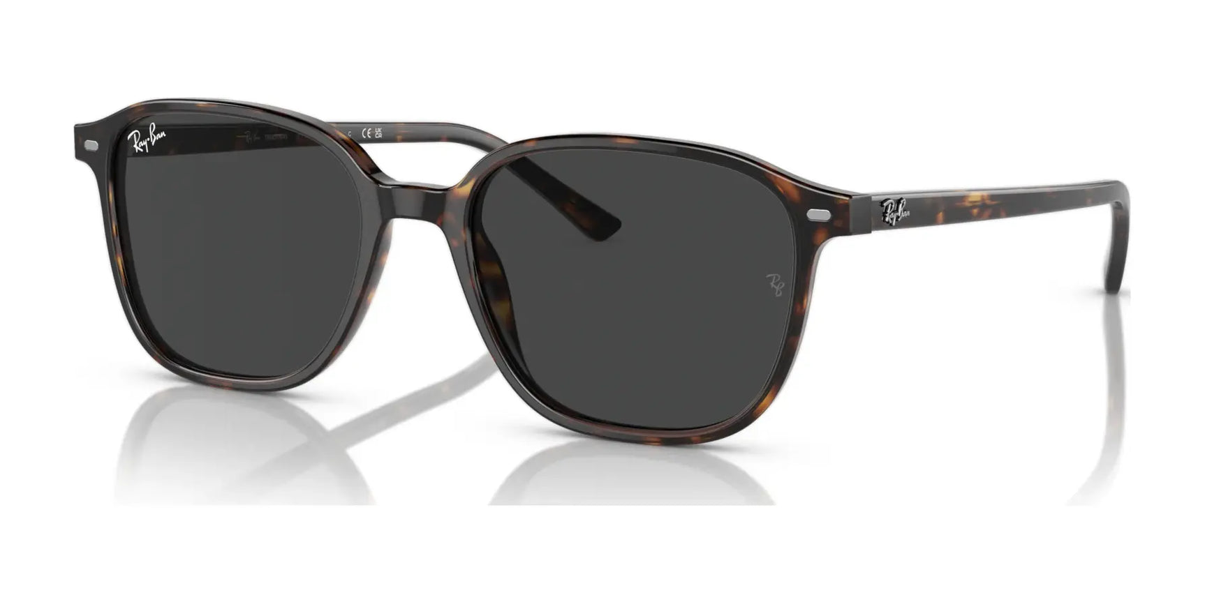 Ray-Ban LEONARD RB2193 Eyeglasses