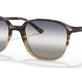 Brown Havana №1327GF
