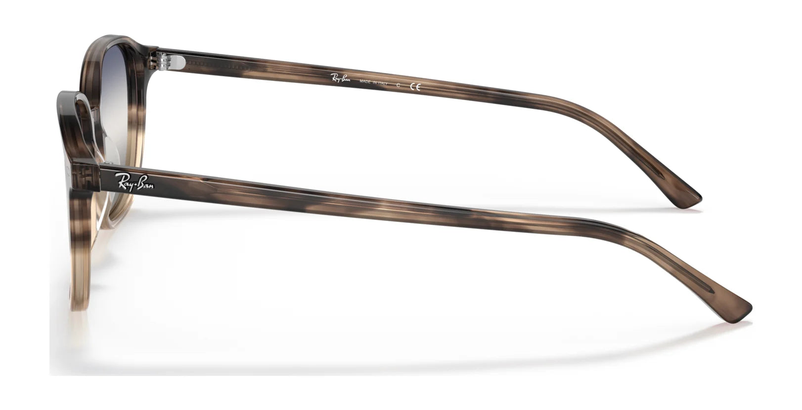 Ray-Ban LEONARD RB2193F Sunglasses | Size 55