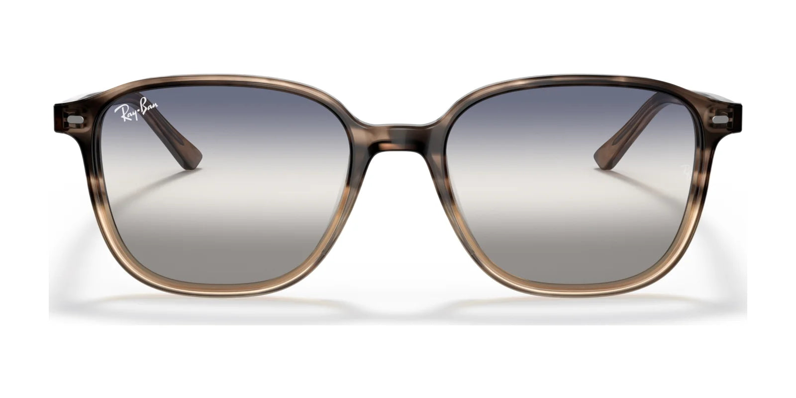 Ray-Ban LEONARD RB2193F Sunglasses | Size 55