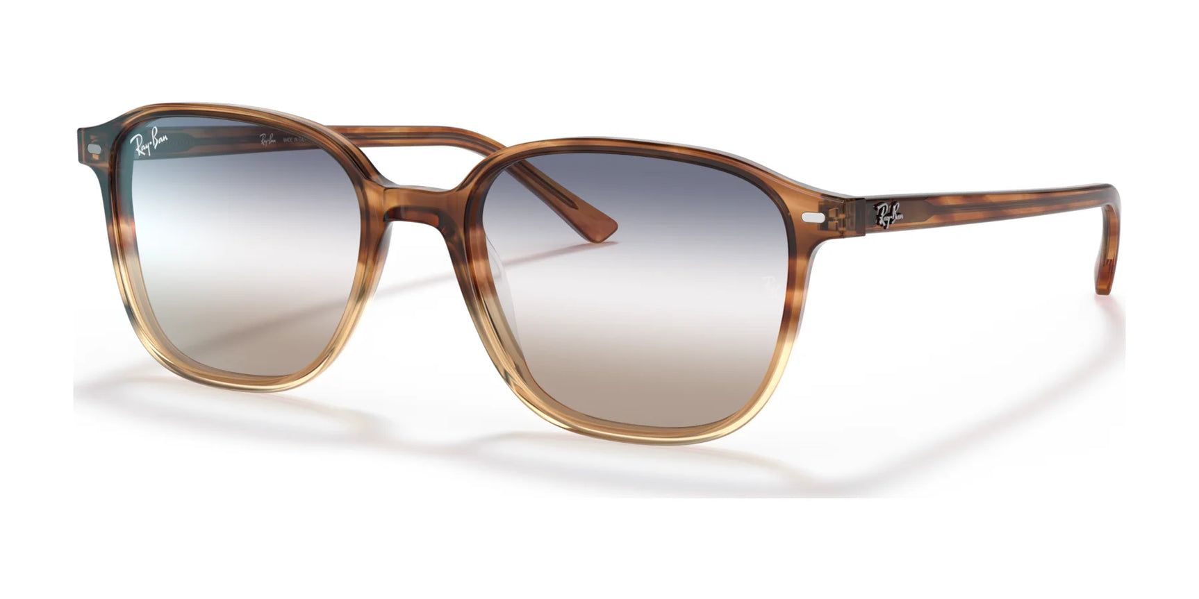 Ray-Ban LEONARD RB2193F Sunglasses | Size 55