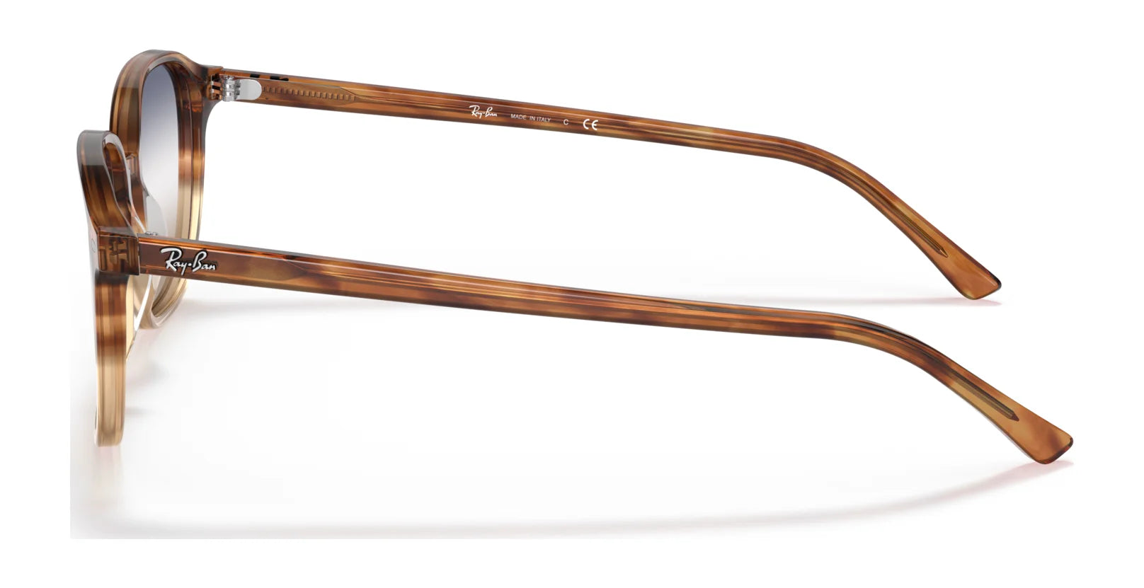 Ray-Ban LEONARD RB2193F Sunglasses | Size 55