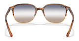 Ray-Ban LEONARD RB2193F Sunglasses | Size 55