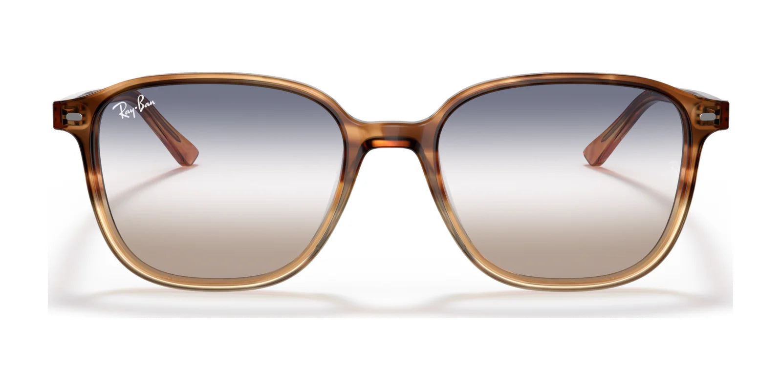 Ray-Ban LEONARD RB2193F Sunglasses | Size 55