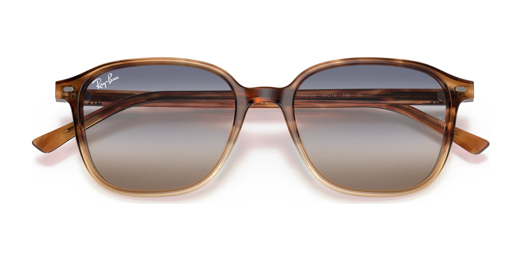 Ray-Ban LEONARD RB2193F Sunglasses | Size 55