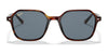Ray-Ban JOHN RB2194 Sunglasses | Size 51 / Striped Havana №954/62 / Blue (2N 21.70%)