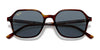 Ray-Ban JOHN RB2194 Sunglasses | Size 51 / Striped Havana №954/62 / Blue (2N 21.70%)