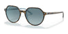Ray-Ban THALIA RB2195 Sunglasses / Havana On Light Blue №13163M / Blue Gradient Grey (2N 21%) / Size 51