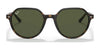 Ray-Ban THALIA RB2195 Sunglasses / Havana №902/31 / Green (3N 13.2%) / Size 51