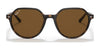 Ray-Ban THALIA RB2195 Sunglasses / Havana №902/31 / Green (3N 13.2%) / Size 51