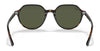 Ray-Ban THALIA RB2195F Sunglasses | Size 53 / Havana №902/31 / G-15 Green (3N 13.2%)