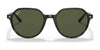 Ray-Ban THALIA RB2195F Sunglasses | Size 53 / Havana №902/31 / G-15 Green (3N 13.2%)
