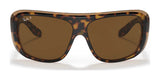 Ray-Ban BLAIR RB2196 Sunglasses | Size 64