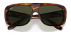 Ray-Ban BLAIR RB2196 Sunglasses / Striped Havana №954/31 / G-15 Green (3N 13.2%) / Size 61